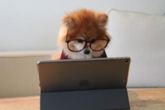 新疆小程序（新疆小程序开发公司）