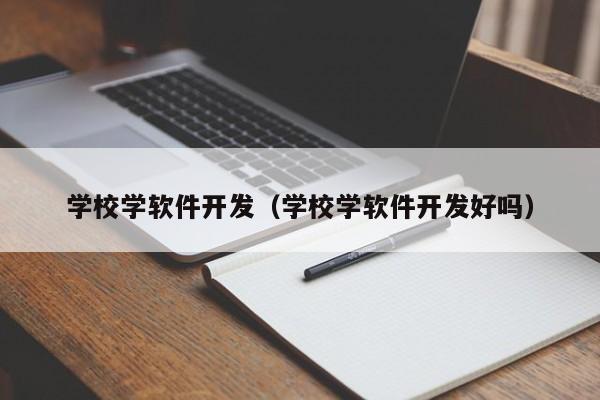 学校学软件开发（学校学软件开发好吗）