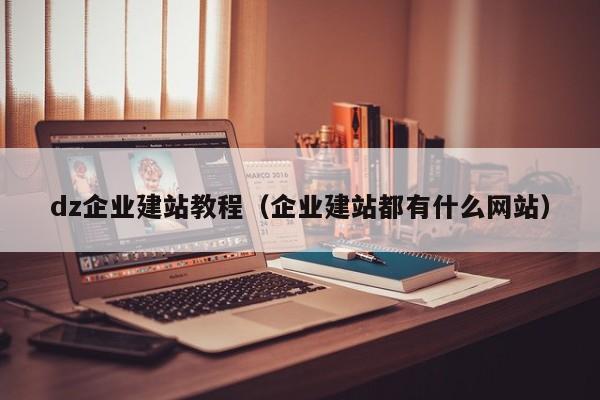 dz企业建站教程（企业建站都有什么网站）