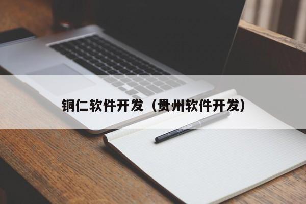 铜仁软件开发（贵州软件开发）