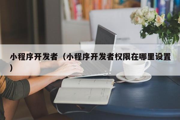 小程序开发者（小程序开发者权限在哪里设置）