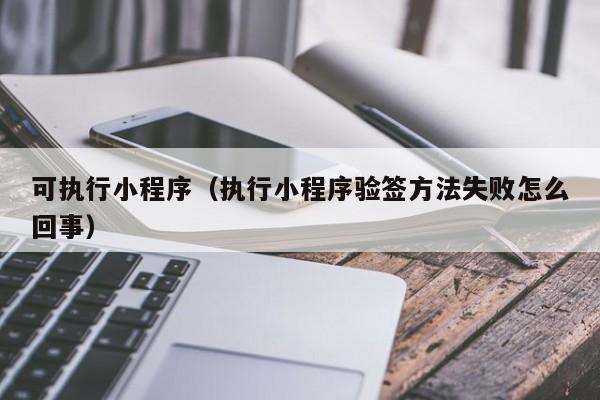 可执行小程序（执行小程序验签方法失败怎么回事）