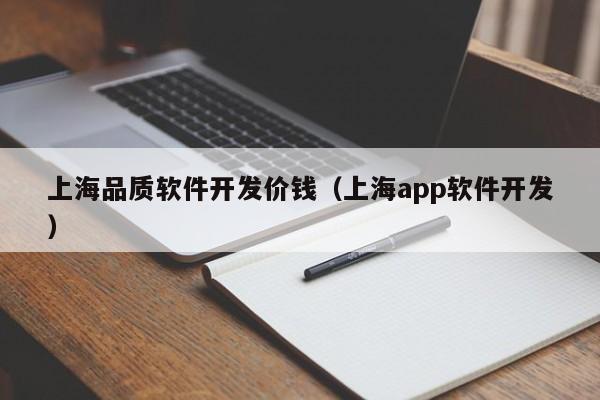 上海品质软件开发价钱（上海app软件开发）