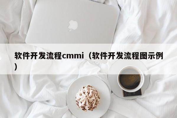 软件开发流程cmmi（软件开发流程图示例）