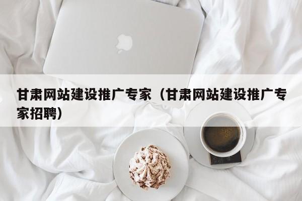 甘肃网站建设推广专家(甘肃网站建设推广专家招聘)