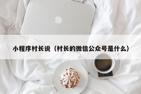 小程序村长说（村长的微信公众号是什么）
