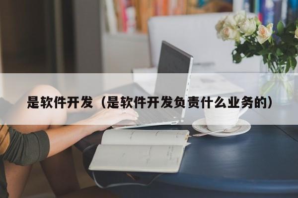 是软件开发（是软件开发负责什么业务的）