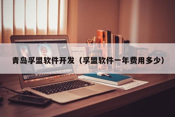 青岛孚盟软件开发(孚盟软件一年费用多少)