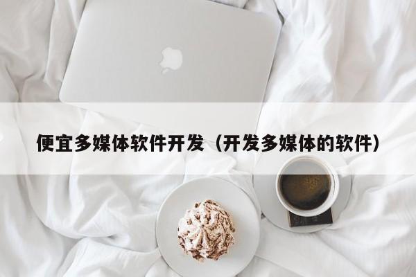 便宜多媒体软件开发（开发多媒体的软件）