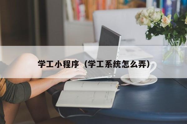 学工小程序（学工系统怎么弄）